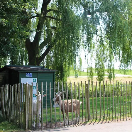 Pet-friendly Rural Escape, Cleaning Included Holiday home